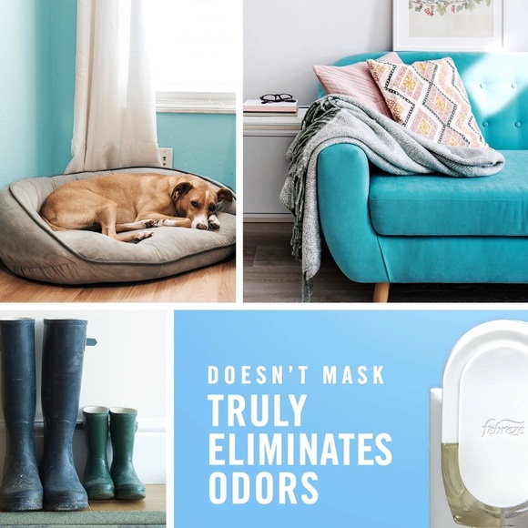 NWT set of 2 febreze fade defy plug in air freshener starter kit apple cider - Picture 10 of 10